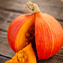 семена тыквы Орэнж Колон F1