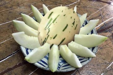 Агротехника выращивания гибридов дыни серии Фестиваль 