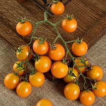 Семена томата Ясик F1