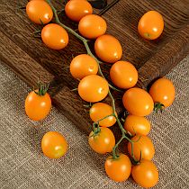 Семена томата Ирин 60 F1