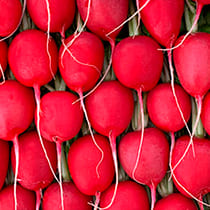 Семена редиса Молния F1