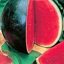 Семена арбуза Сахарный Малыш