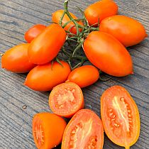 Семена томата Луштица F1