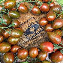 Семена томата Черри Негро F1