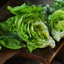 семена кочанного салата Тетис