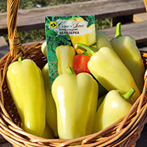 семена перца сладкого белозерка