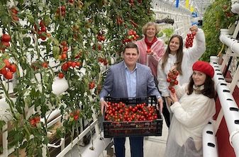 Сортоиспытания на фитопирамиде 2020