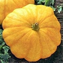 семена патиссона Пятачок Желтый