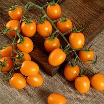 Семена томата Татьянин F1