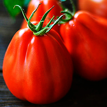 Семена томата Хинкали F1