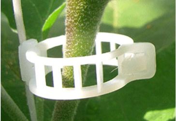 Клипсы и кистедержатели для сеньора Помидора