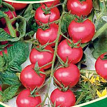 Семена томата Черри Роуз F1