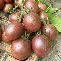 Семена томата Мерхаба F1