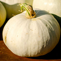 семена тыквы Крошка