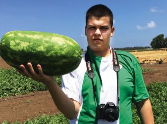 Бахча и технологии выращивания