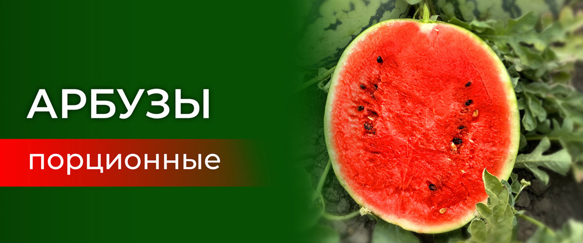 арбуз
