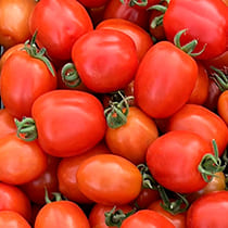 Семена томата Вериге F1