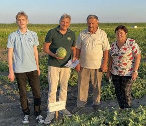 День Поля под Камызяком