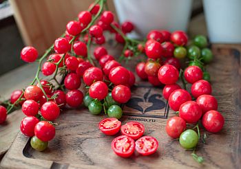 УНИКАЛЬНАЯ НОВИНКА - ТОМАТ БЕЗ КОЖИ!