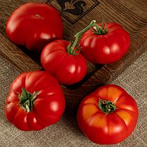 Семена томата Красный Марманде F1