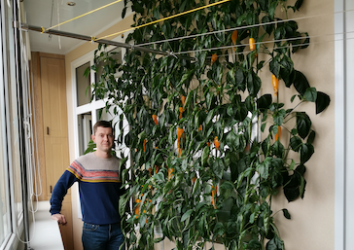 Хочешь построить перечные заборы? - Строй!