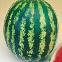 Семена арбуза Астраханский