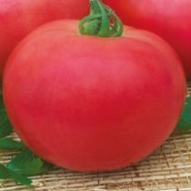 Семена томата Розовая Андромеда F1