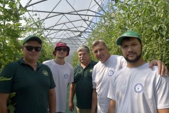 Томатный салют в Белгороде!