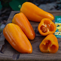 семена перца сладкого цитрон f1