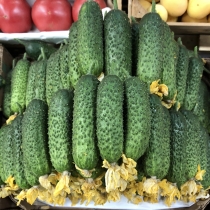 Семена огурца Пасалимо F1