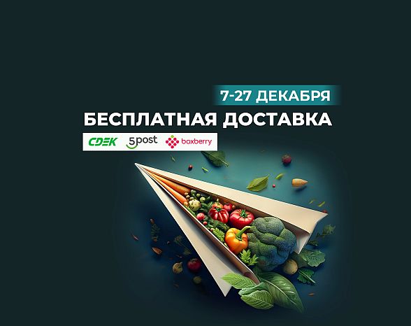 besplatnaya_dostavka_december_2024_1.jpg