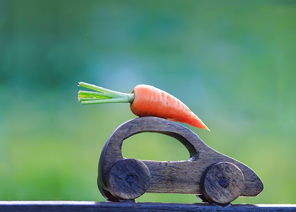 Бесплатная доставка